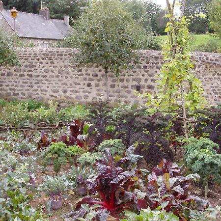 Chambres D'Hotes La Belle Taille Lassay-les-Chateaux Eksteriør billede