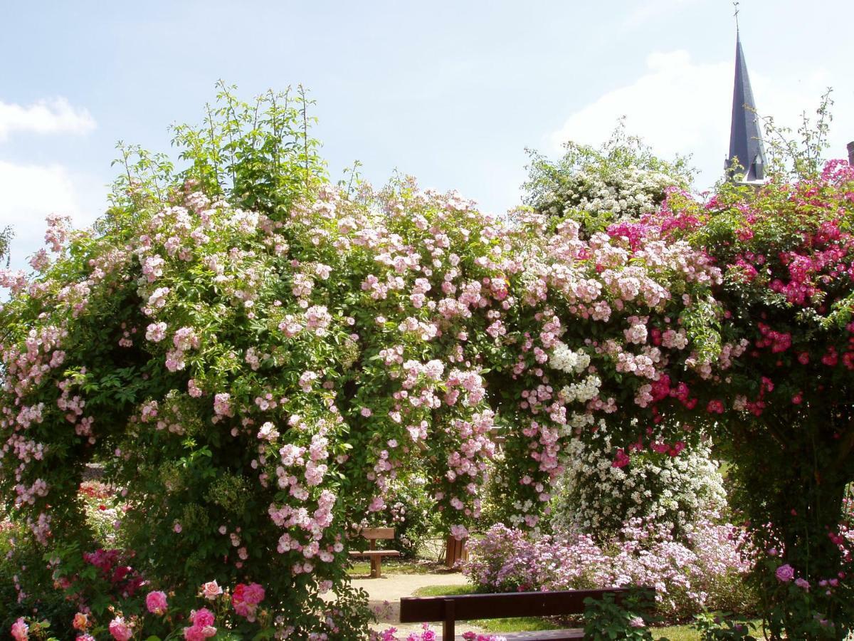 Chambres D'Hotes La Belle Taille Lassay-les-Chateaux Eksteriør billede
